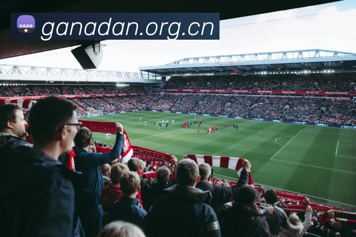 多媒体互动体验